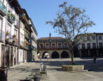 Oliveira Plaza